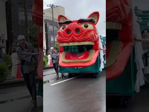 shorts 酒田大獅子桜🌸　獅子パックン　酒田まつり サムネイル