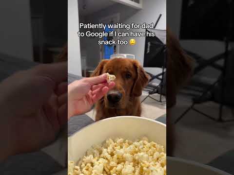 Sharing is caring 🐶 サムネイル