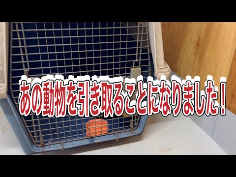 ペットとして飼いきれなくなったある動物を引き取り、当園でお世話することになりました！ サムネイル