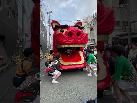 shorts 酒田大獅子　日和　獅子パックン　酒田まつり サムネイル