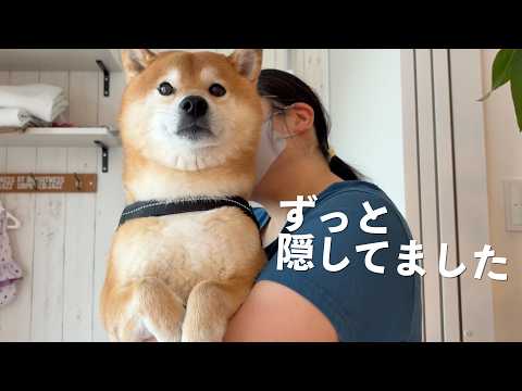 事故以来、ずっと隠していた朝があります。 サムネイル
