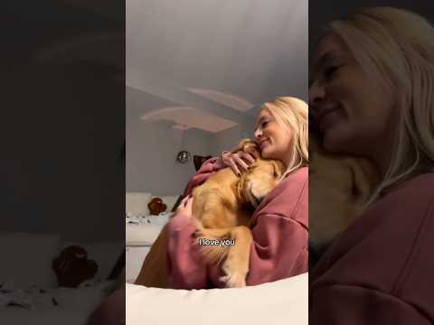 coming home to my golden retriever🥵 goldenretreiver dog ind…