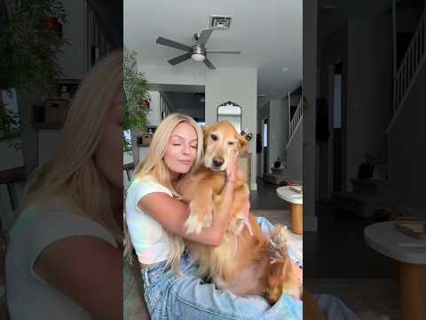coming home to my golden retriever🥵 goldenretreiver dog ind… サムネイル