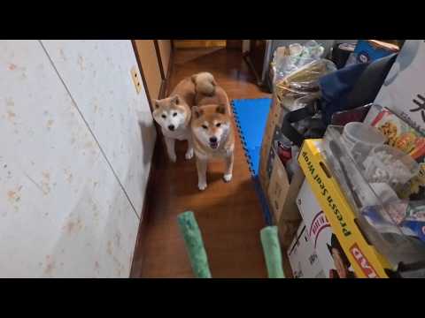 2026年2月27日(金) 待ちきれずに仕事場まで取り立てに来てしまう自由業の皆さん サムネイル