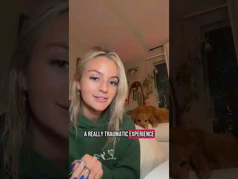 coming home to my golden retriever🦁goldenretriever viral yo… サムネイル