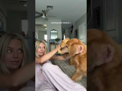 coming home to my golden retriever🥵 goldenretreiver dog ind… サムネイル