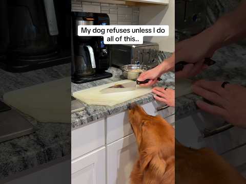 Is he worth it? サムネイル