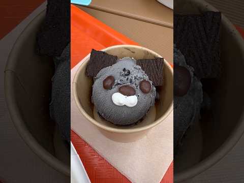 shorts 美味しかったです😊 はまぽーくカレーとマヌルネコジェラート🍨　野毛山動物園にて　2025年12月6日 サムネイル
