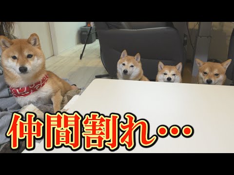 心配していたことが、現実のものとなってしまいました・・・ サムネイル