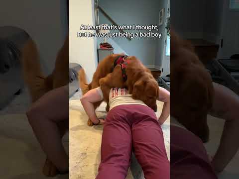 Why is my dog like this? 😂 サムネイル