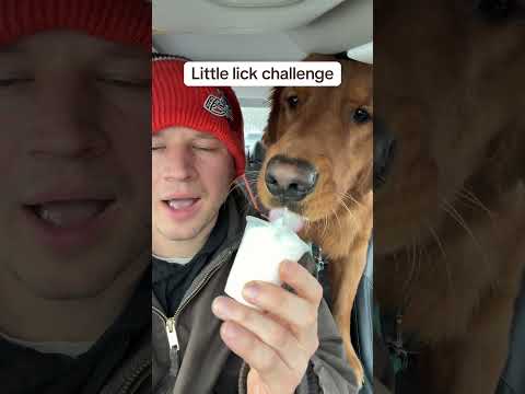 It’s called a PUP cup!! 🐶 サムネイル