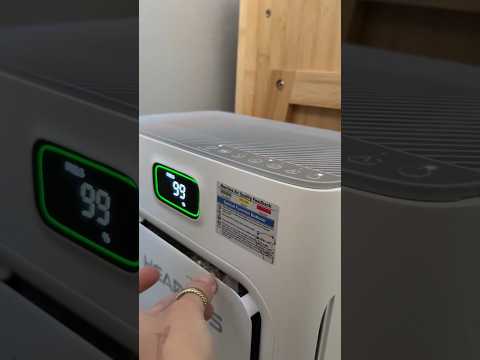 ASMR in House Cleaning🧽india retreiver dog puppy goldenretr… サムネイル