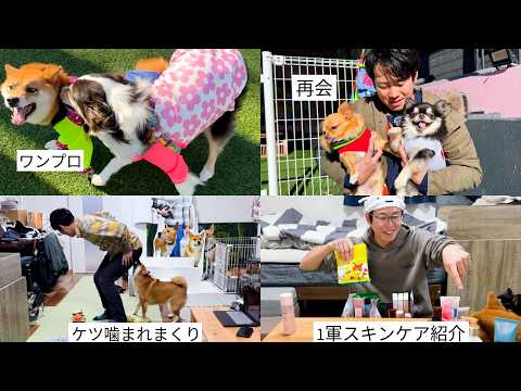 ドッグランで遊びまくったあとにアラフォー男のスキンケアを紹介してみた サムネイル