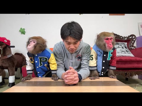 【緊急生配信】病気になりました。そしてお猿さんたちに謝罪。 サムネイル
