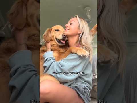 coming home to my golden retriever🥵 goldenretreiver dog ind… サムネイル