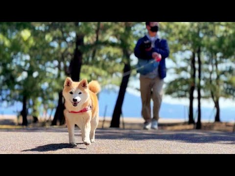 巨大な船を発見した日の警備日誌　The Day We Saw a Giant Ship サムネイル