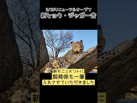 【3/20新ヒョウジャガー舎リニューアルオープン】新モニュメントに飼育係も一筆いれさせていただきました。東武動物公園… サムネイル