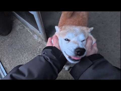 一晩寝かせたパン生地さんがモチモチマッサージ要求してきます！ サムネイル