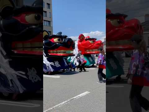 shorts 酒田大獅子　松と桜　獅子パックン　酒田まつり サムネイル