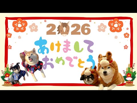あけおめ2026✨ サムネイル