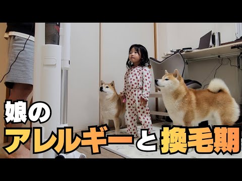 やって来た換毛期始めと、娘にアレルギー症状が出たので病院へ サムネイル