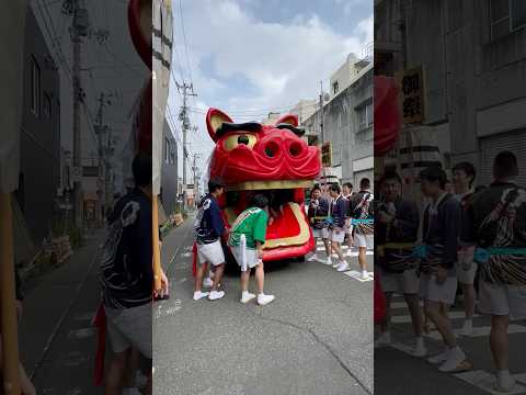 shorts 酒田大獅子　日和　獅子パックン　酒田まつり サムネイル