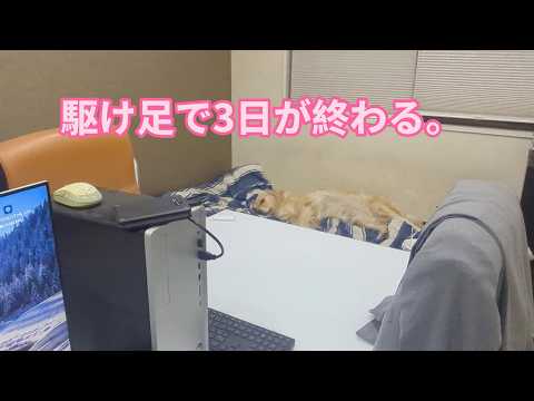 駆け足で3日が過ぎて行く。ゴールデンレトリバーティト サムネイル