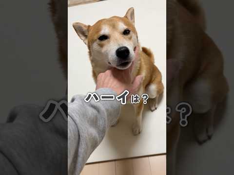 たまには歯が出ない彼を見てほしい サムネイル