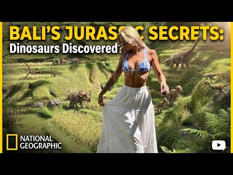 Bikini Try-On Haul :| 4K Transparent Lingerie See-Through S… サムネイル