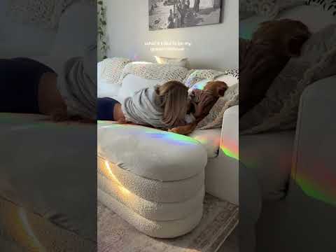 coming home to my golden retriever🦁goldenretriever viral yo…