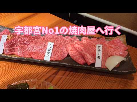 宇都宮No1の焼肉屋へ行く。ゴールデンレトリバーティト