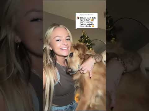 Bikini Try-On Haul 114 :| 4K Transparent Lingerie & See-Thr… サムネイル