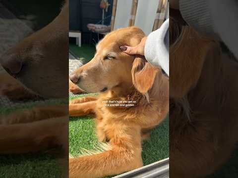 Transparent Lingerie See through Styles Shein 2025 Bikini T… サムネイル