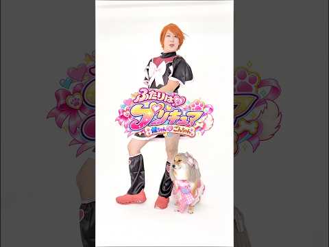 柴犬と初代プリキュア🤍本編も見てね! 柴犬 プリキュア shorts