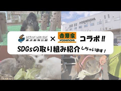【SDGｓ】東武動物公園×吉野家コラボ！SDGｓの取り組みをご紹介！　東武動物公園　公式YouTubeチャンネル サムネイル