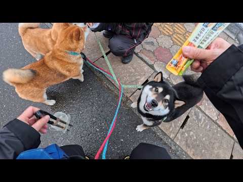 2026年3月12日(木) 毎年恒例お嬢様方からのプレゼント ハッピーバレンタイン！！カイくん サムネイル