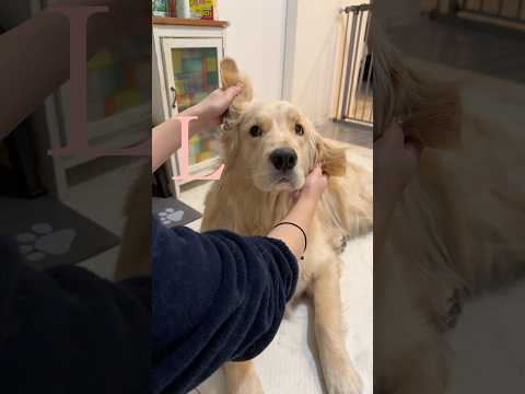 渾身のEを見せてくれました！！！今年も大変お世話になりました❤️来年もおにゅーと麹をよろしくお願いします🙇🏼‍♀️ゴー… サムネイル