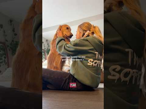 coming home to my golden retriever🥵 goldenretreiver dog ind…