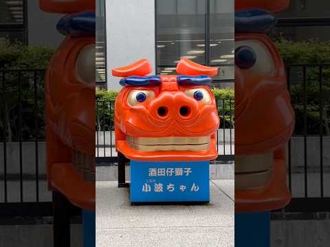 shorts 酒田仔獅子　小波ちゃん　酒田まつり サムネイル