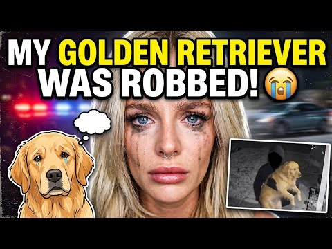 Bikini Try-On Haul 006 :| 4K Transparent Lingerie & See-Thr… サムネイル