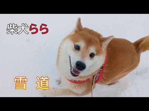 雪道 サムネイル