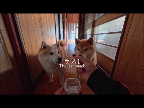 最後の一つを獲得するのは一体どっちだ？！