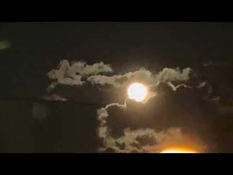 本日のピンクムーン🌕　首都高速にて　2026年4月2日