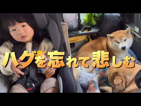 お別れの時に、大好きなじぃじにハグを忘れ喪失感に襲われる娘と柴犬 サムネイル