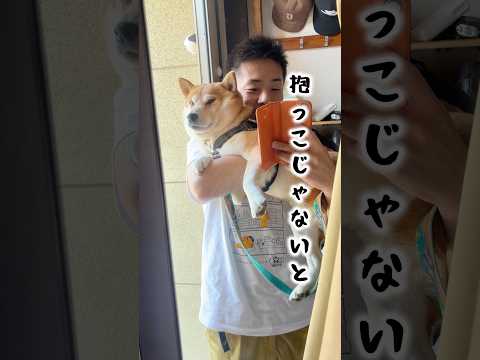 原因はなんだったの？抱ッカーこと柴犬こむぎ サムネイル