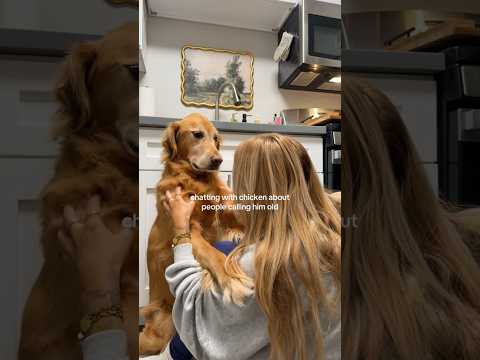 Bikini Try-On Haul :| 4K Transparent Lingerie & See-Through… サムネイル