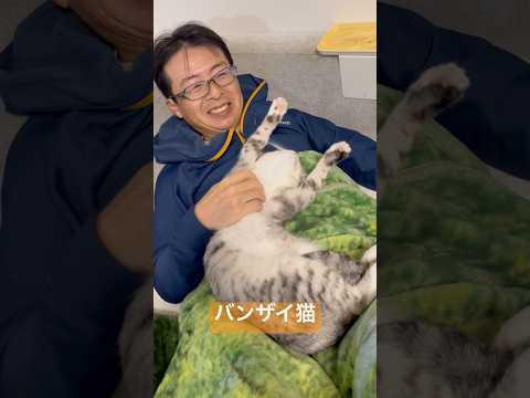 バンザイ猫　The cat stretched out because it felt good. 保護猫 サムネイル