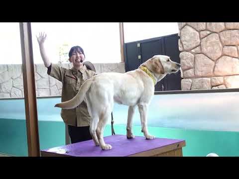 今日から本格始動するZOO STUDY！(ズースタディ)の公開練習(12時〜)を見て来ました〜！　那須どうぶつ王国にて… サムネイル