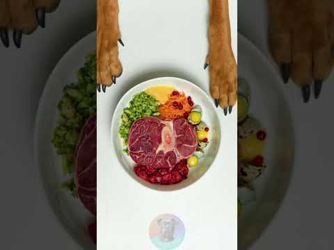 The REAL Cost of Feeding a Rottweiler dog rottweiler petsru… サムネイル