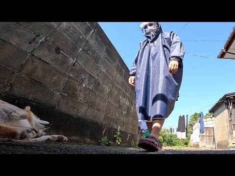 震えながら不審者に回収される末っ子ちゃん サムネイル